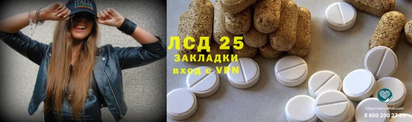 гашик Баксан