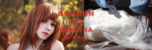 прущие крисы Балахна