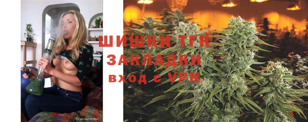 прущие крисы Балахна