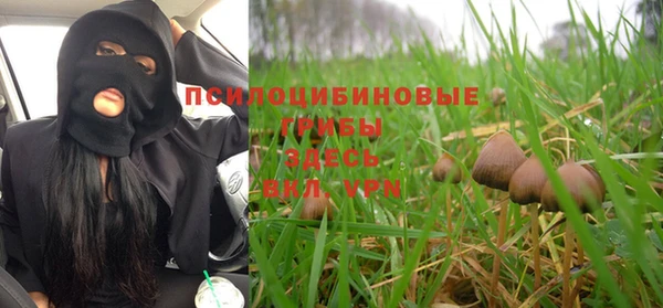 прущие крисы Балахна